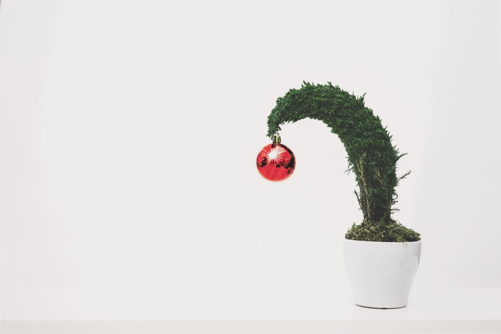 Photo by Scott Webb: https://www.pexels.com/photo/green-plant-with-red-ornament-planted-in-white-ceramic-pot-1048041/